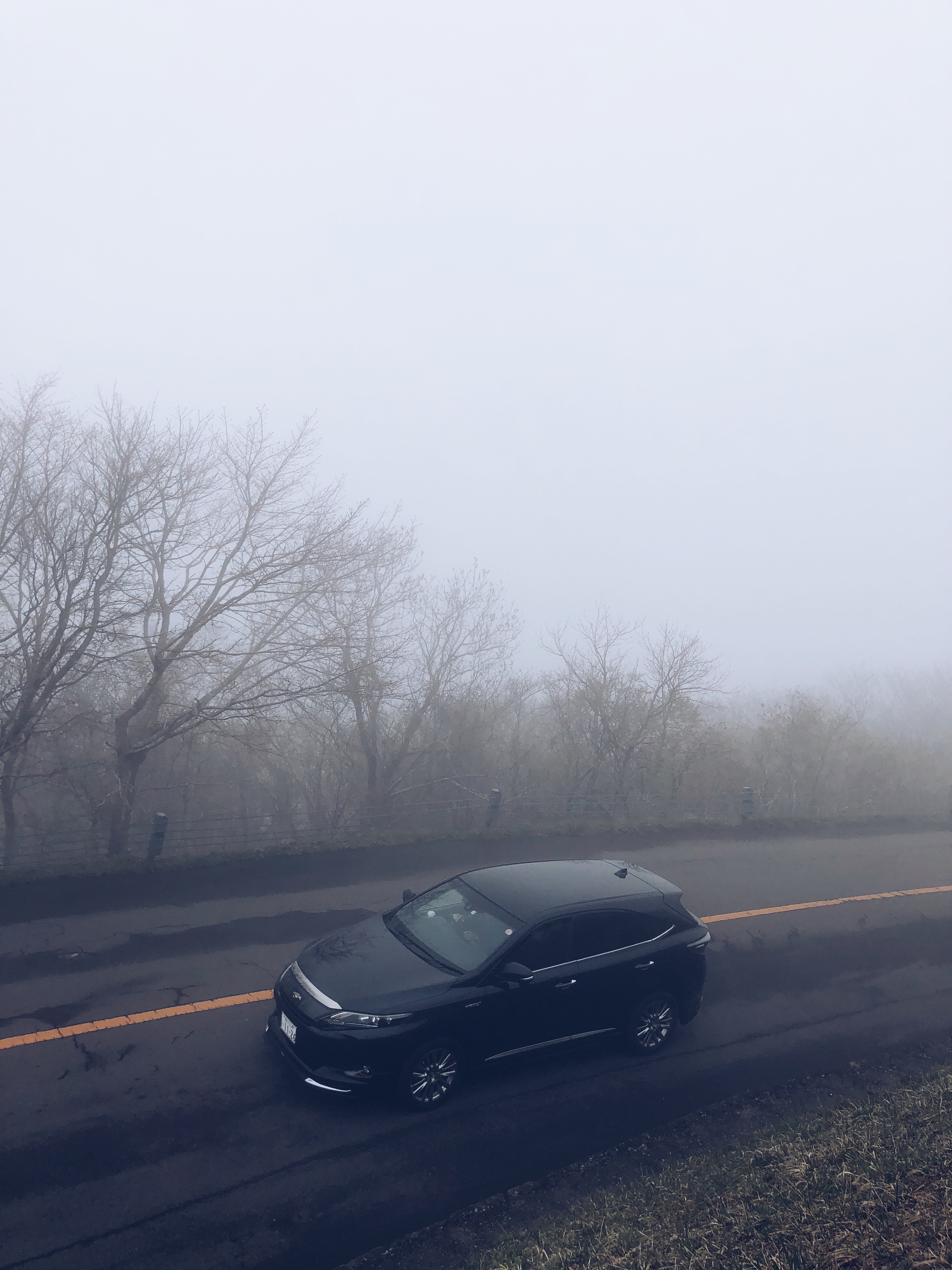 游轮7天6夜豪华游,和老人一起玩的游轮