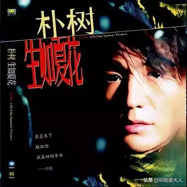 高晓松谈的朴树,高晓松回忆朴树