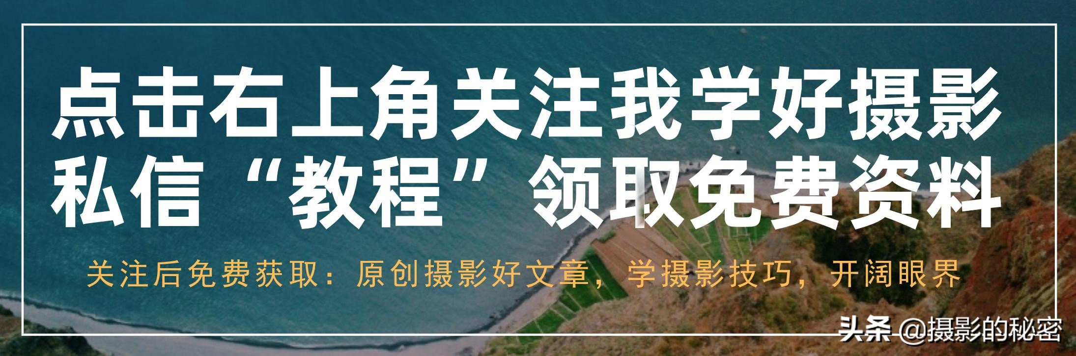 打鸟对焦技巧,专业摄影师教你打鸟