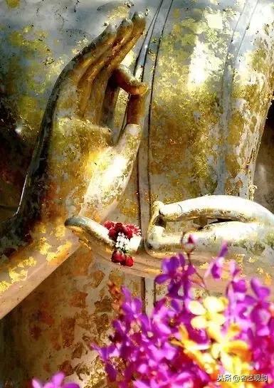 欣赏世间之美,欣赏之美