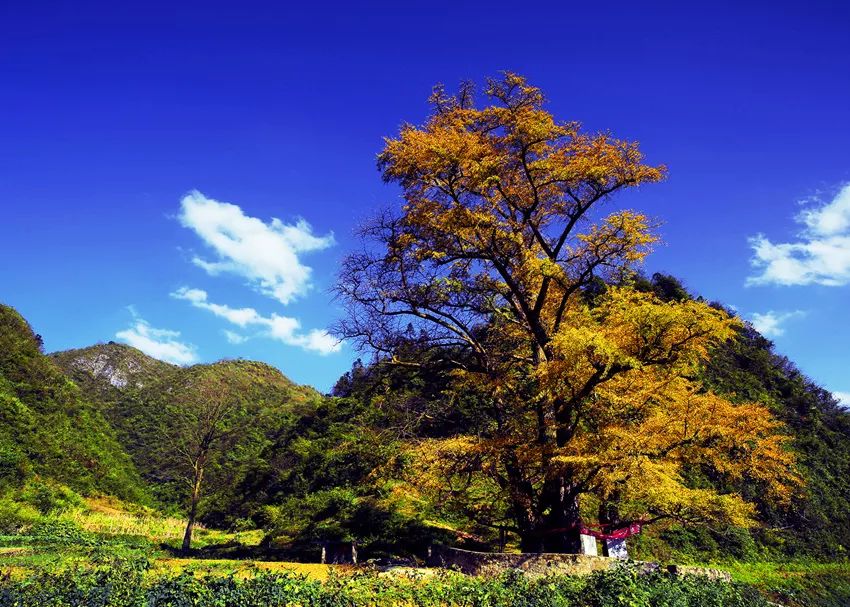 藏在贵州的十座千年古镇,贵州一个低调的千年古城