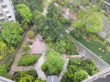 天府新区第五小学排名,天府新区a区学区房