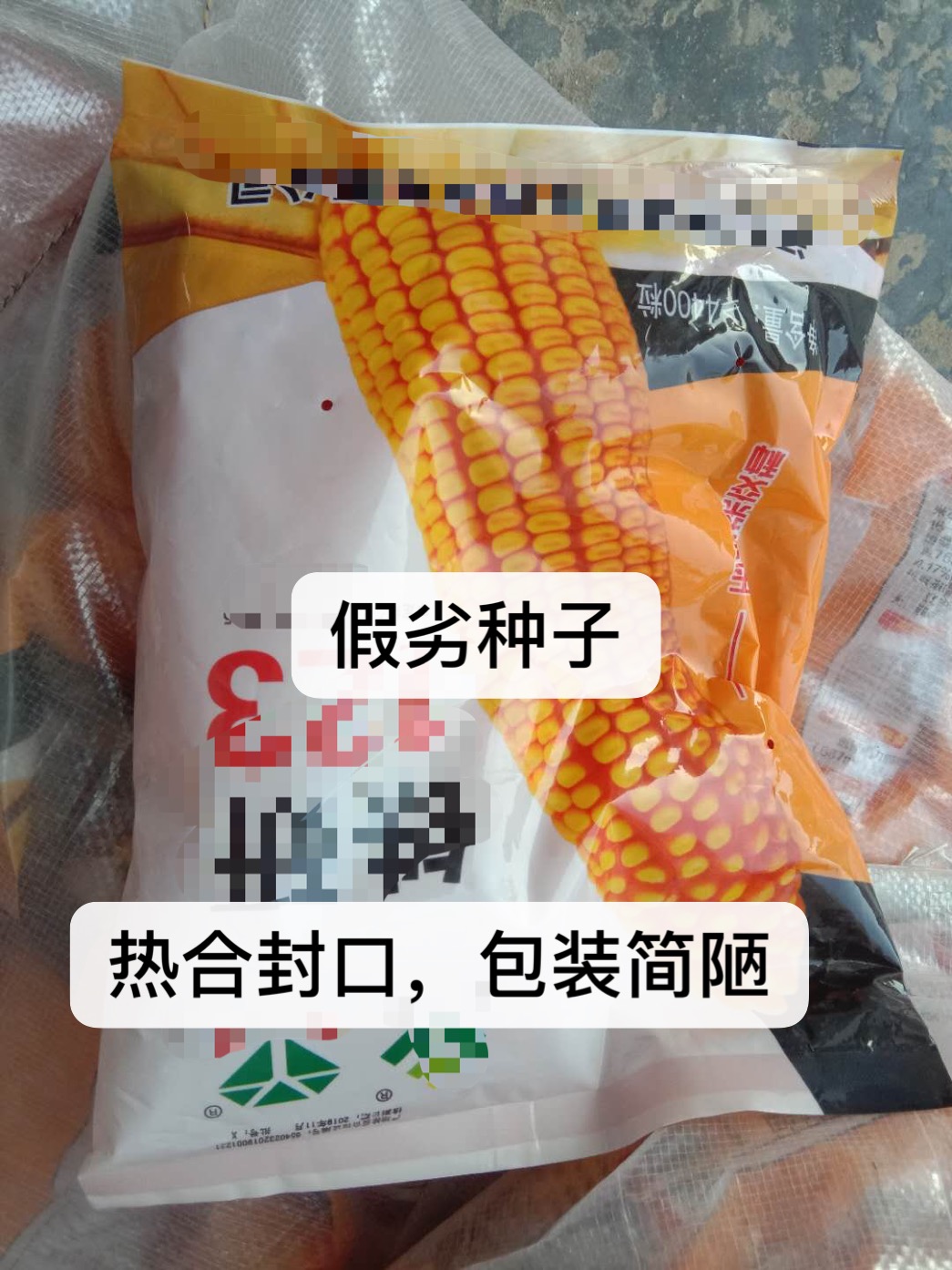 怎样看玉米种的真假,如何辨别新玉米种