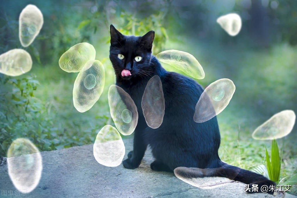 怀孕8个月孕妇饮食注意事项,孕妇怀孕7周了饮食要注意什么