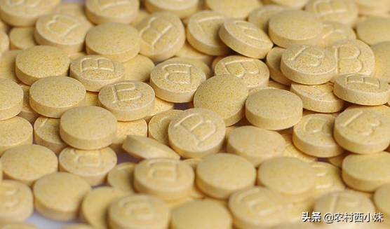 这5种小药片当花肥,6种药片养花