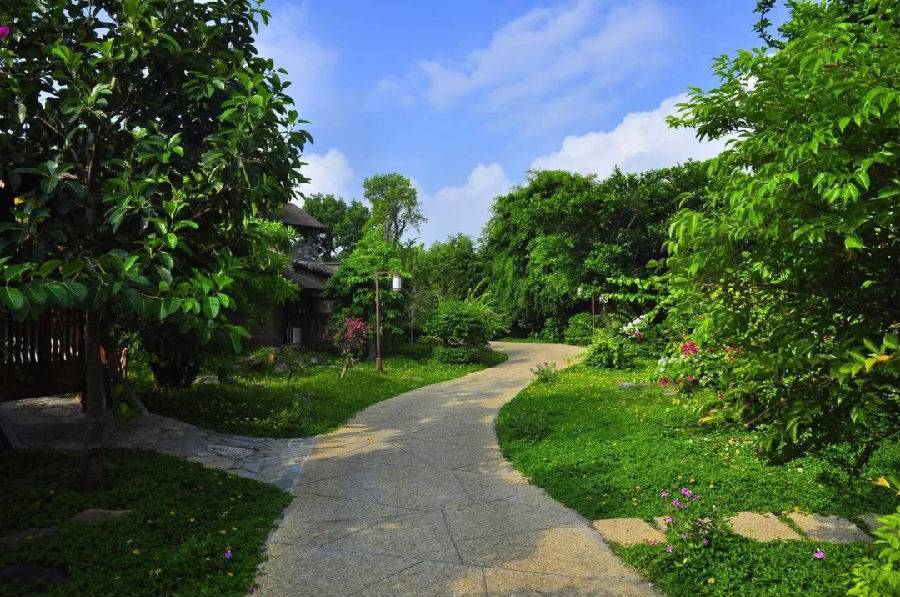 湛江一日游最佳景点湛江特呈岛,特呈岛湛江旅游攻略