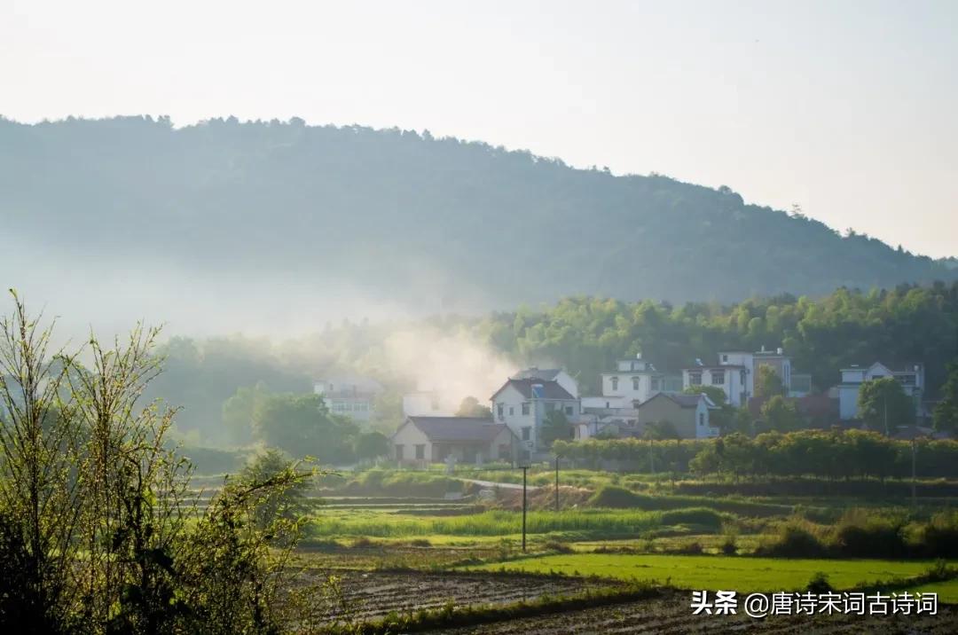 寒食古诗诗意100字,寒食节必读十首诗词