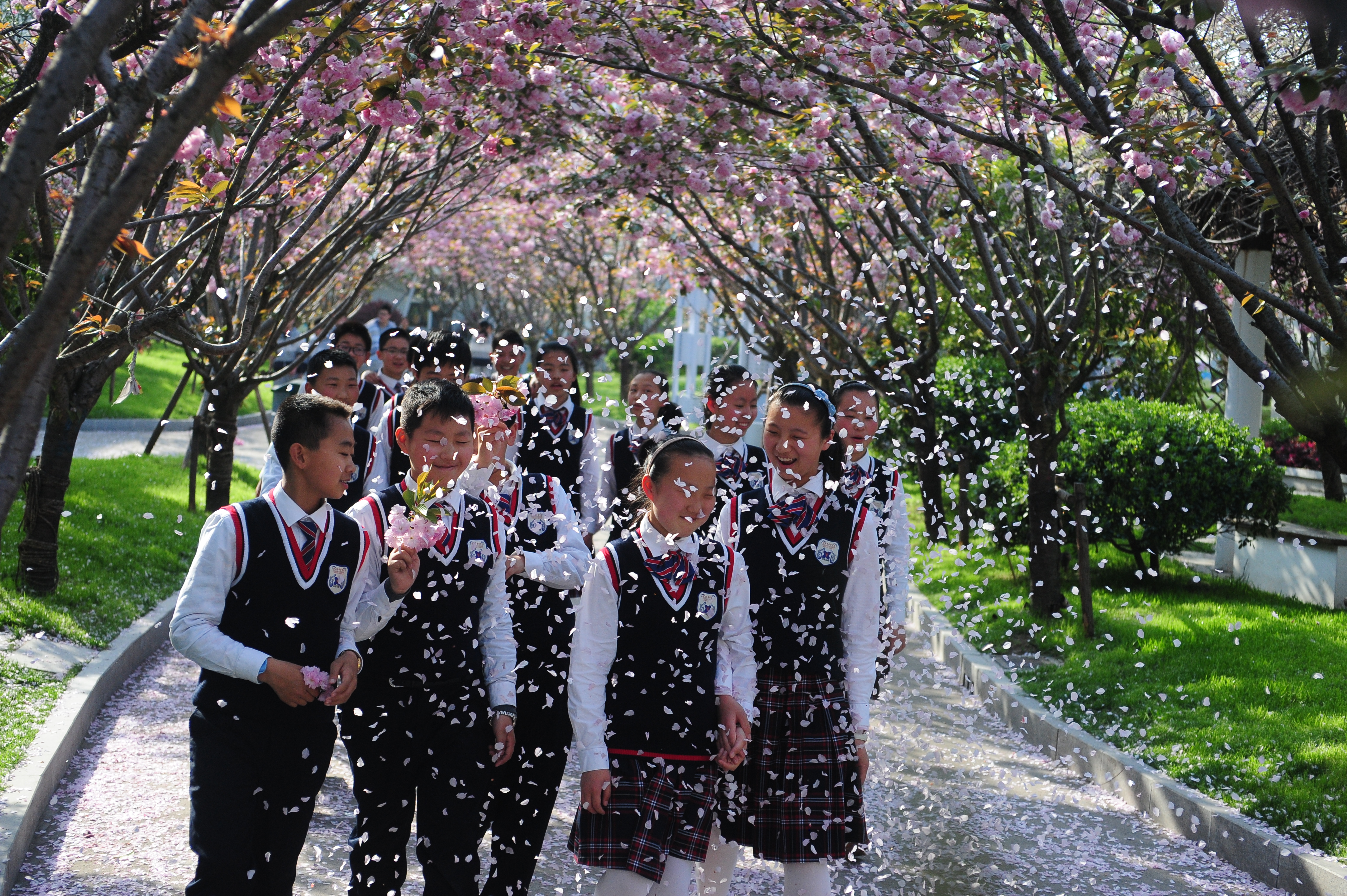 淮安外国语学校滨河校区宣传片,淮安外国语学校校园照片