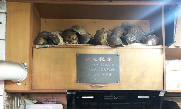 广东人喝凉茶真的有效吗,为什么广东对中医文化好