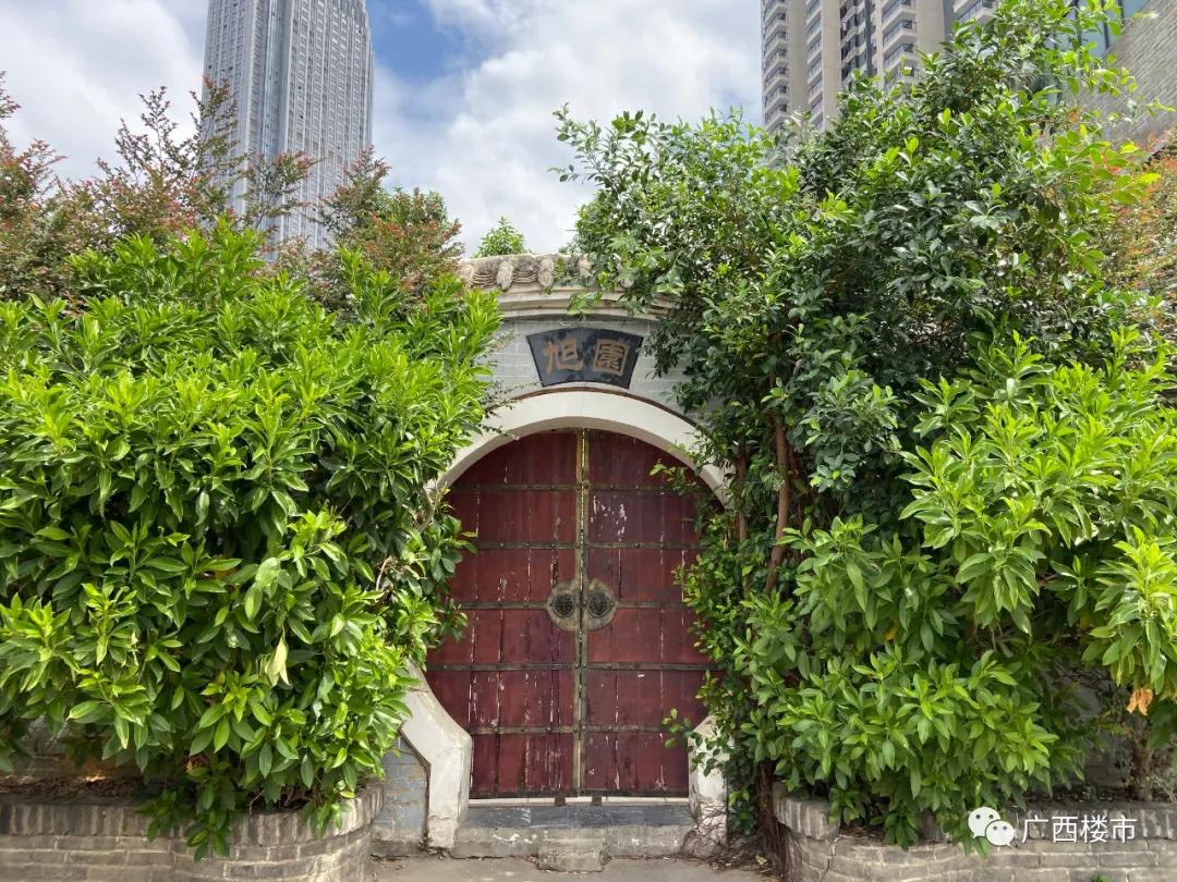 中山路恢复了吗,中山路被改造后是怎么样