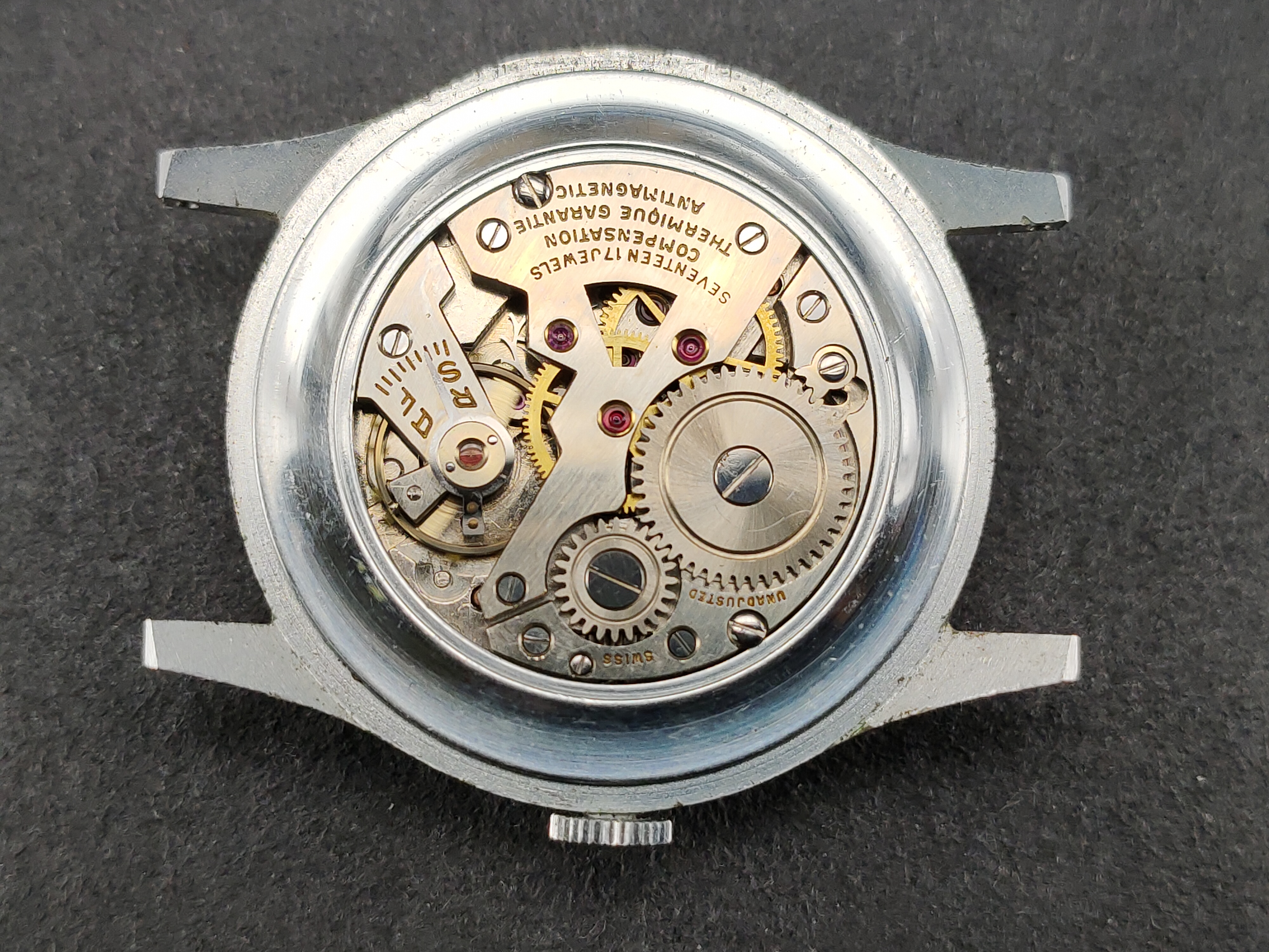 因为一条鱼爱上一个人,因一条鱼丢了一条命