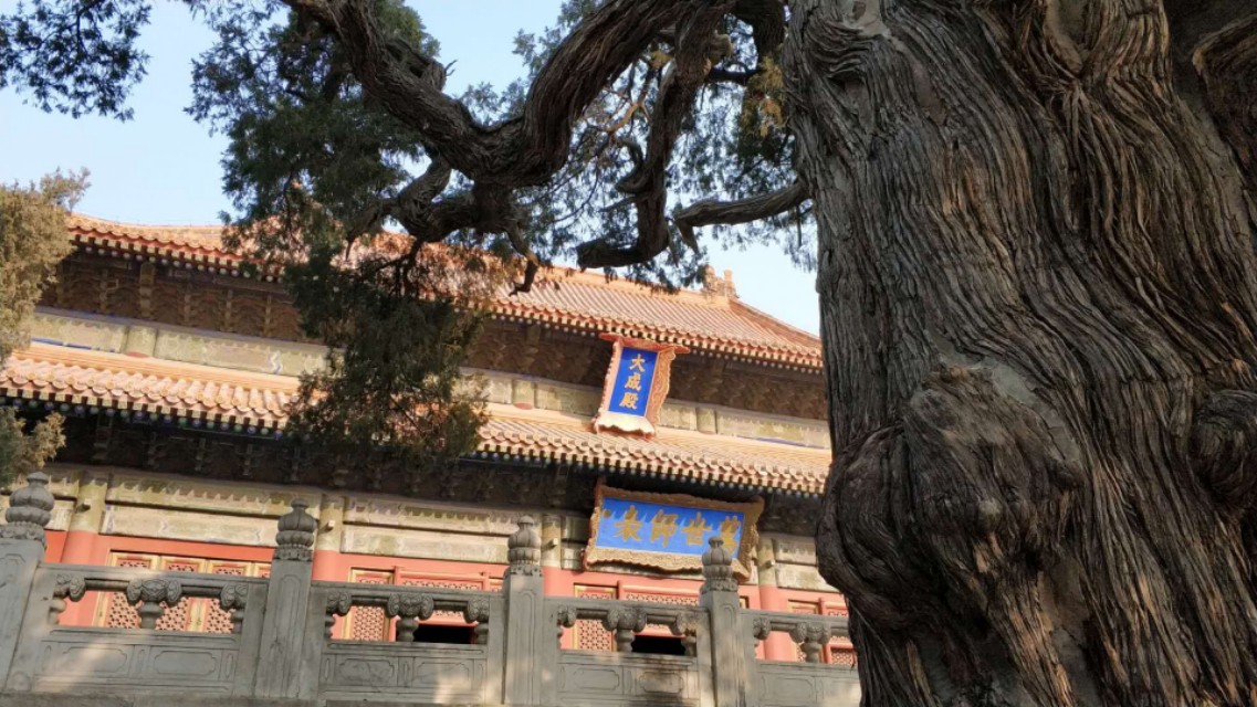 【国学问答】明白事理和知识水平成正比吗？