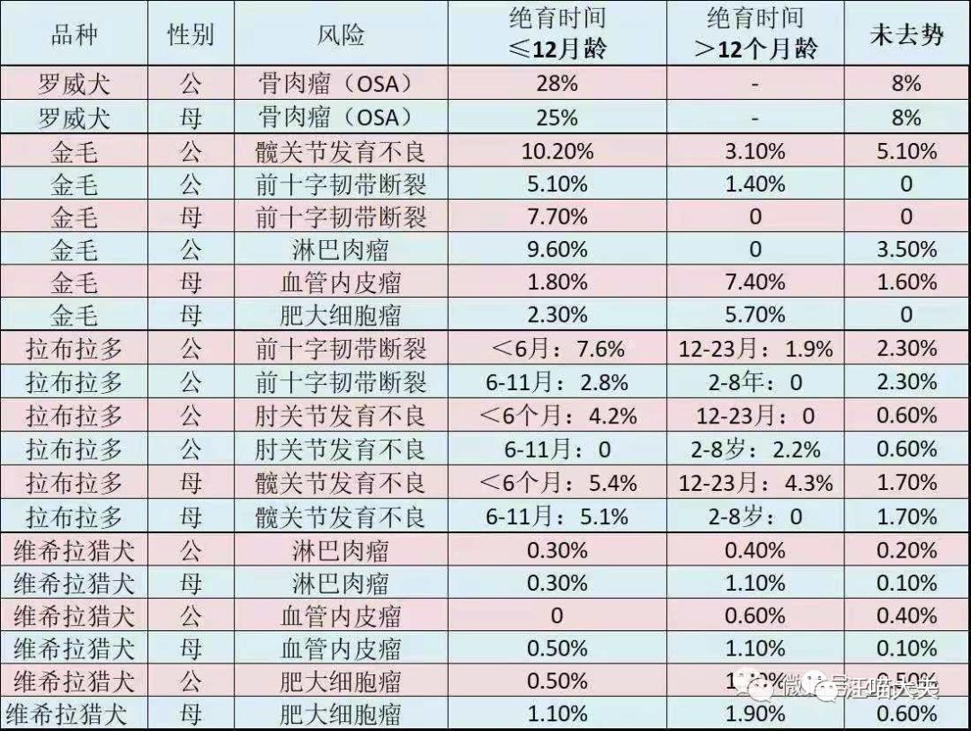 犬猫绝育手术的利与弊