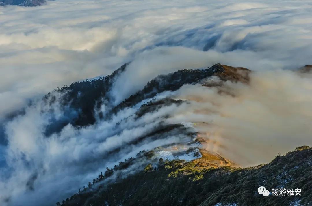 雅安4天旅游攻略最新版,五一去雅安的攻略