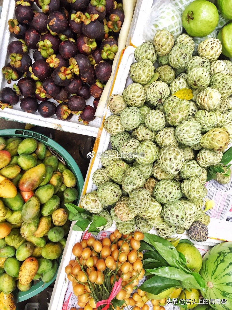 令人流连忘返的美景,令人心旷神怡的地方海南