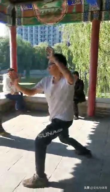 如何评价武术竞技套路,如何评判武术好坏