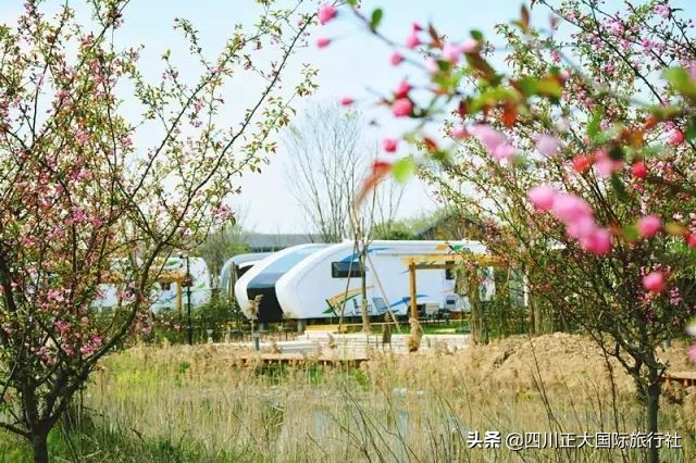 浙江十大海边露营地排名,10大星空露营地