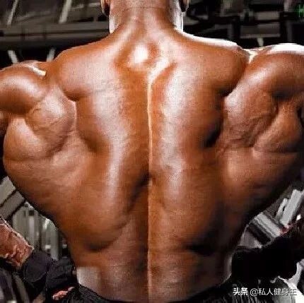 最好的五个背部训练动作,背部训练不到位怎么练