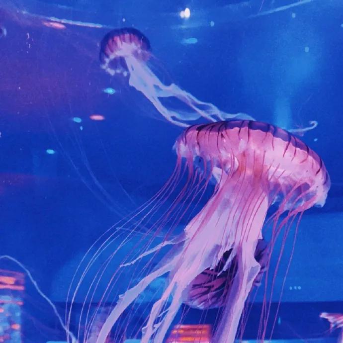 推荐最好玩的乐园,有没有值得玩的地方推荐一下