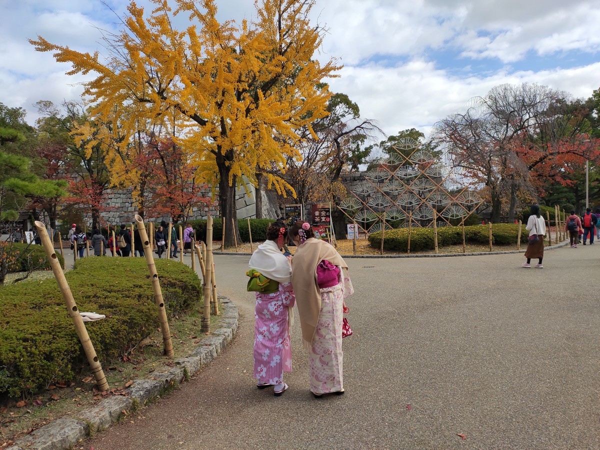 日本大阪马拉松,日本大阪马拉松赛道难度