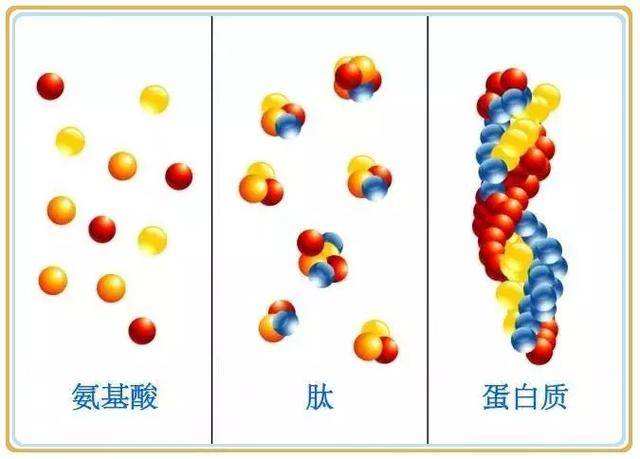 固体饮料奶粉与正规奶粉区别,固体饮料冒充特配奶粉好吗