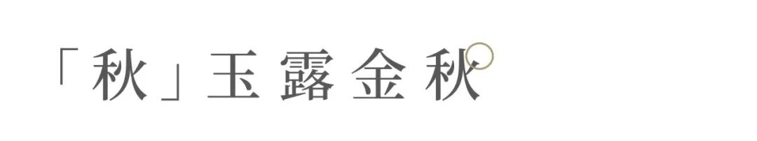 关于我们的茶生活的美文,茶与生活的美文