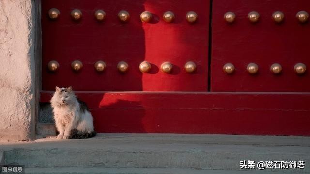 一只猫是如何影响皇位的继承？古代养猫那些事