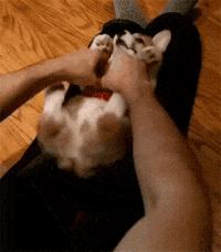 秋冬皮肤干燥湿疹怎么解决,冬季皮肤干燥性湿疹是什么引起的