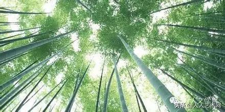 人人图文,人人贷最新事件进展