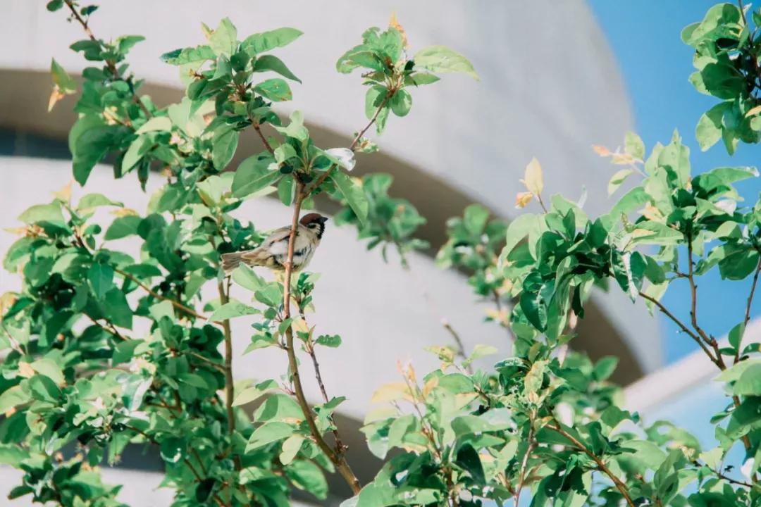 天津民办二本大学,天津仁爱学院滨海校区