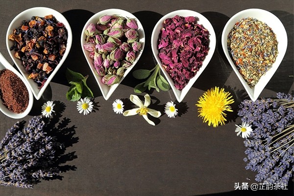 茶文化喝茶分为几个步骤,茶文化基本知识泡茶视频