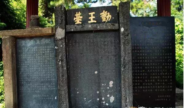 江西省有个莲花县,江西莲花县莲花镇