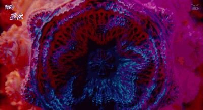 2019最被低估的电影排行榜前十名,10部被低估的恐怖片你看过几部