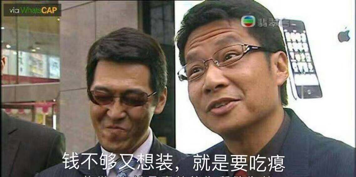 薛定谔的猫实测,欧拉白猫小野猫试驾