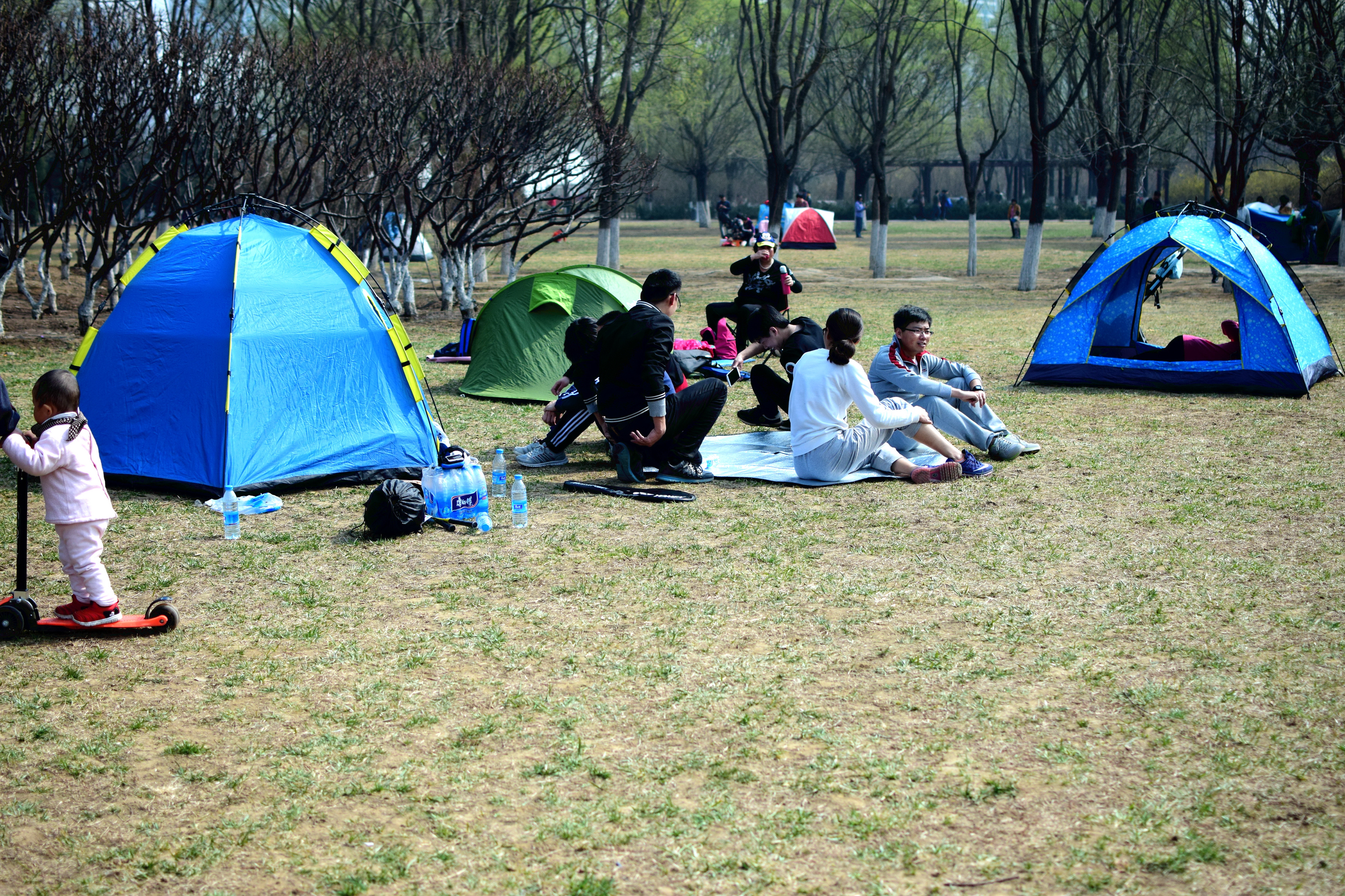 北京奥森让搭帐篷吗,奥森公园禁止营业吗