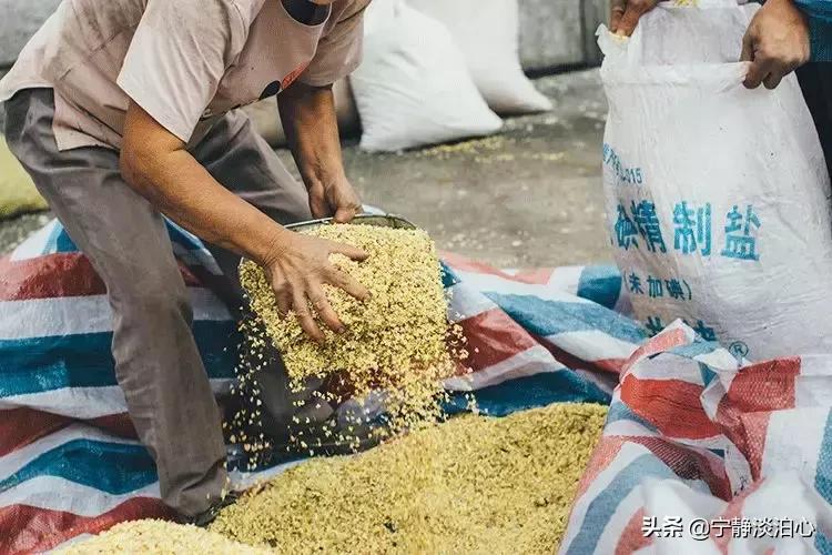 桂花是秋天的灵魂,桂花香是秋天的微醺感