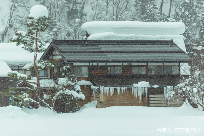 在日本中部的岐阜，发现不一样的日本
