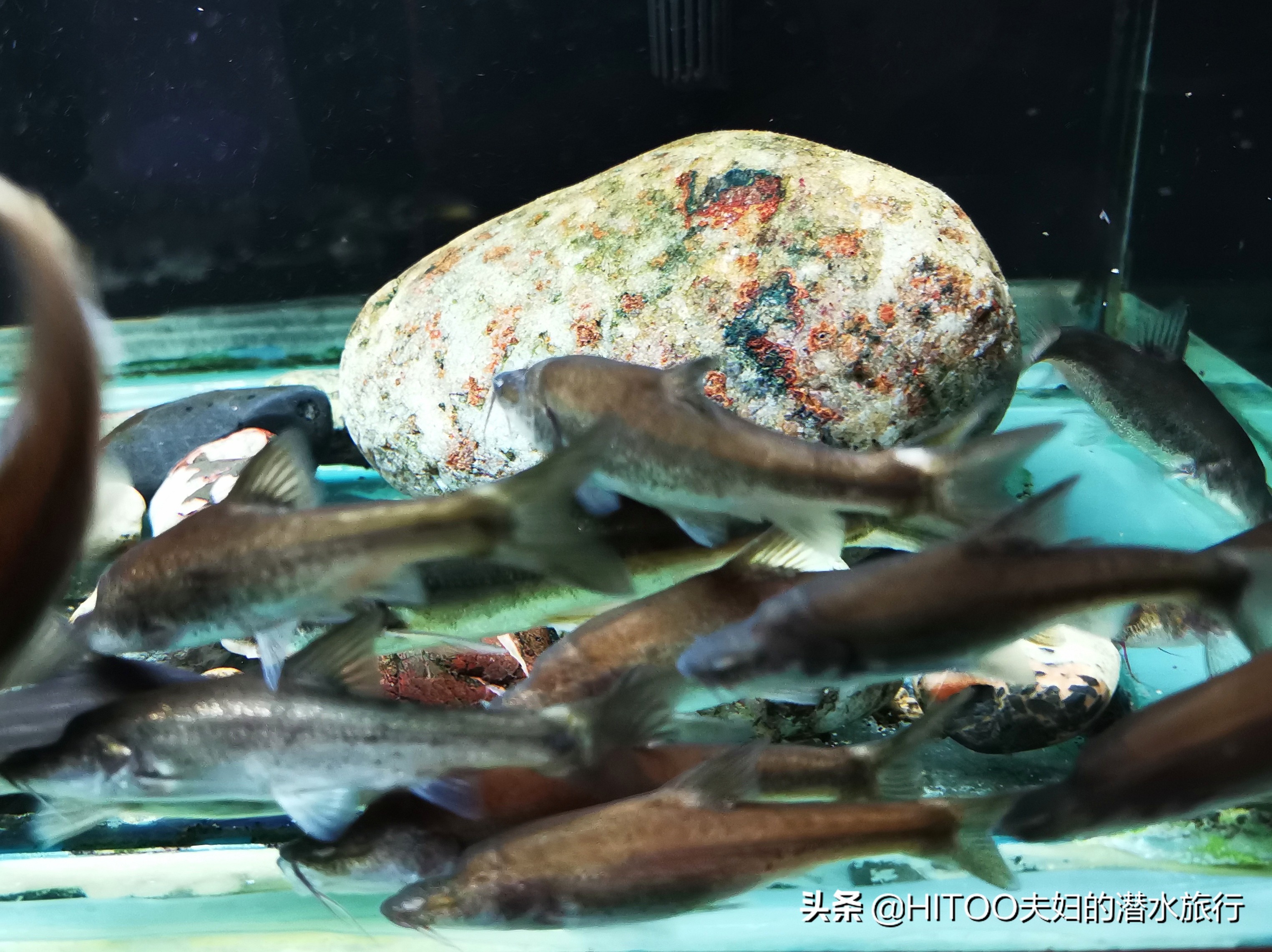 昆明到宜良九乡怎么坐车,昆明九乡旅游攻略一日游最佳路线