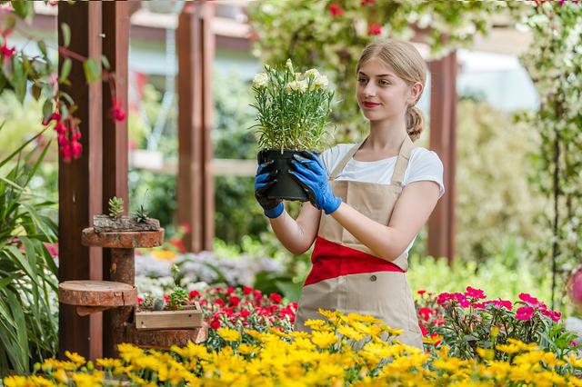 好看又好养的盆花,人养花也养人