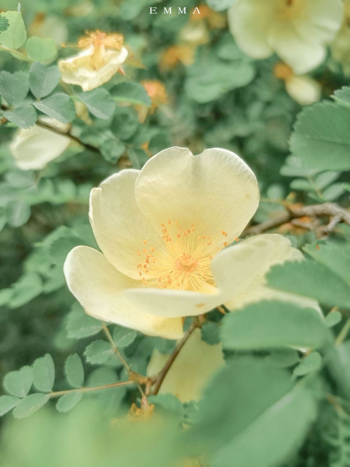 看似大大咧咧其实内心很脆弱,看似天真却心里城府很深的星座