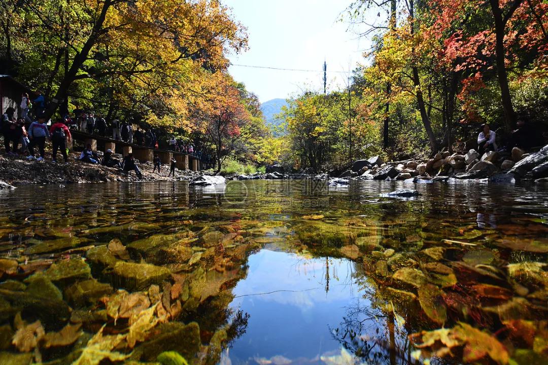 全部的成语收藏起来回家教给孩子,如何和孩子一起积累成语