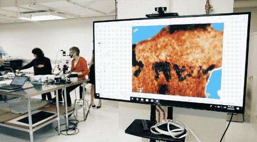 百万美金买的千年古籍实际才刚成年？现代打假技术太给力了