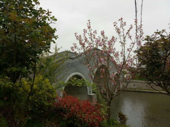 「词风雅韵」季国强｜守望沧桑追过往雄关似铁锁流年