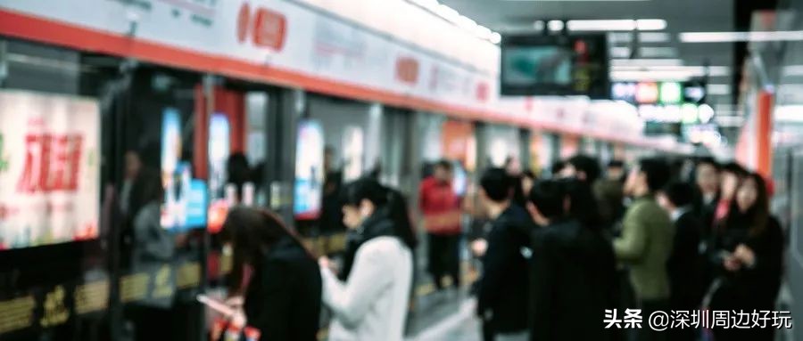 住在深圳各区的人,住在深圳市的人