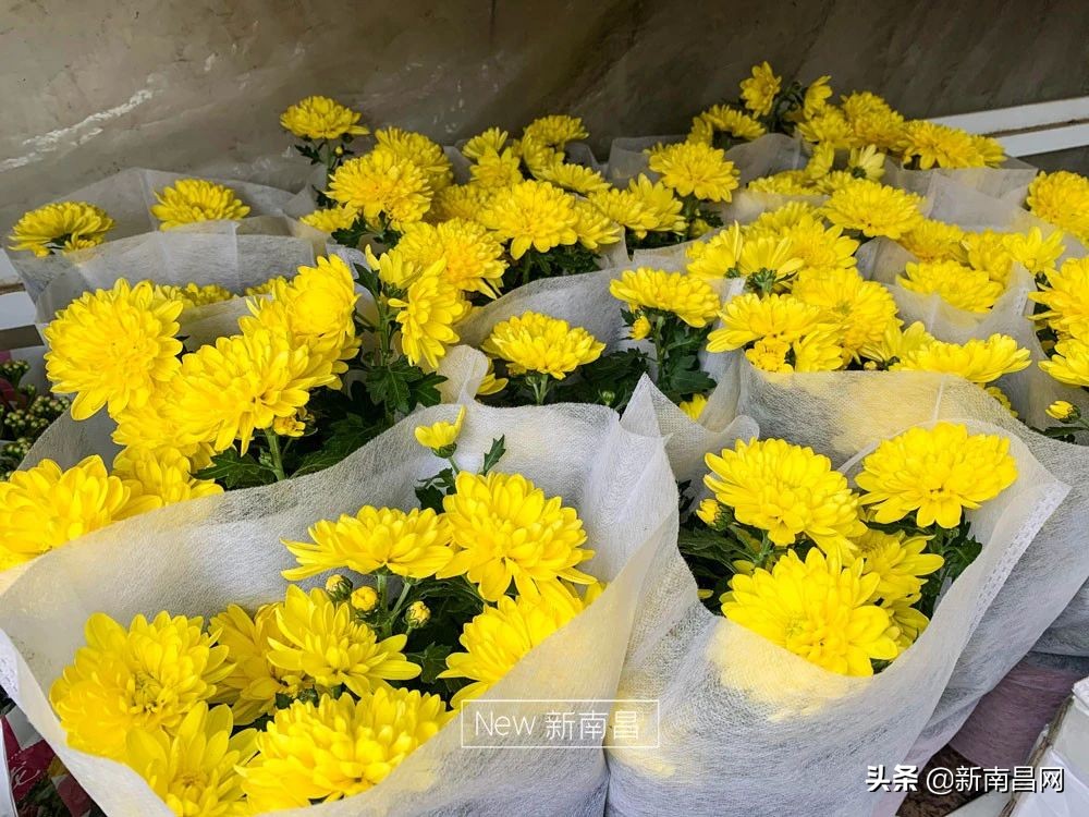 南昌花市有哪些地方,南昌花市批发市场