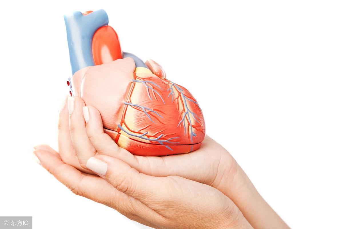 冠心病有关的心脏超声参数,冠心病的超声诊断要点视频