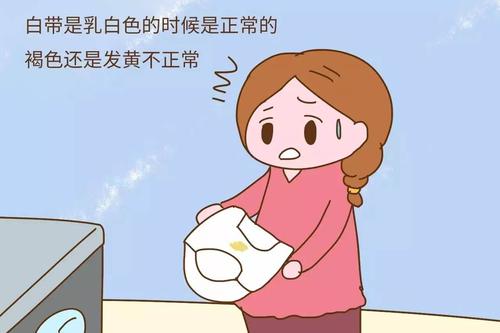 白带异常引起的炎症,白带异常的病因