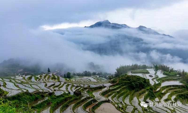 楠溪江山水画,永嘉楠溪江山水画视频