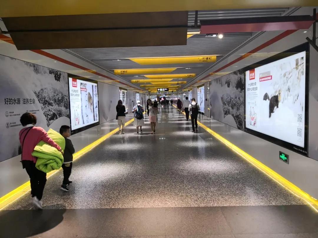 2019年品牌营销爆点精彩回顾,各品牌春节营销