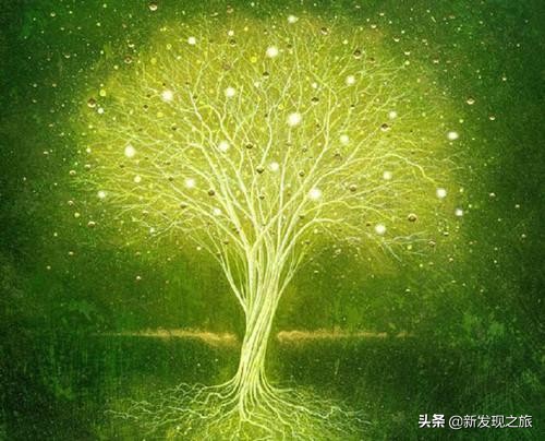 世上真的有长生不老液吗,世上真有长生不老术吗